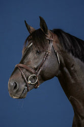 Dy'on US Jumping Collection Flash Noseband Bridle